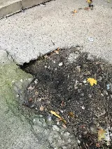 Superior Pest Solutions photo 7