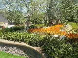 Monji Landscape Companies photo 8