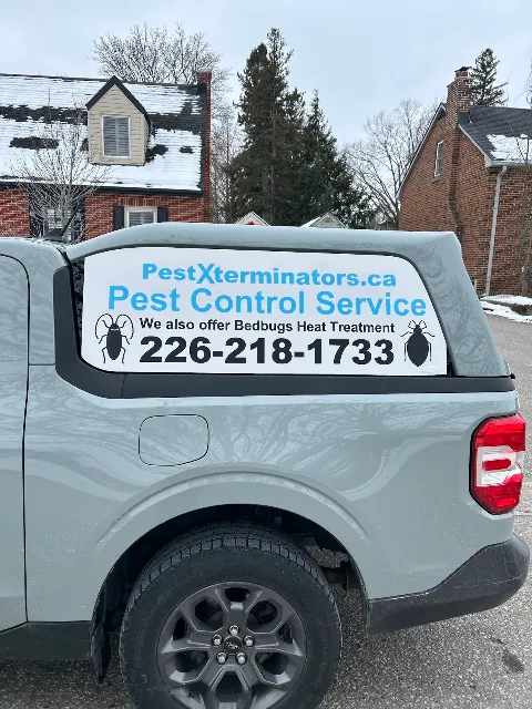 PestXterminators in Cambridge