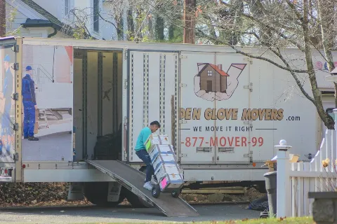 Golden Glove Movers photo 1