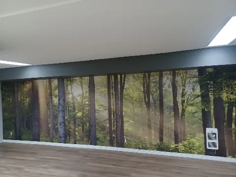 Peinture D.m. et Installations de papiers peint photo 1