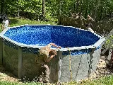 Superior Pool Service Inc photo 3