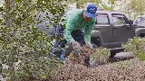 Green Grounds Solutions photo 4