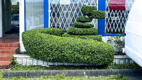 Green Bamboo Landscaping photo 1