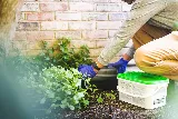Greenix Pest Control photo 3