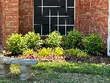 3DL Landscape & Lawn photo 5