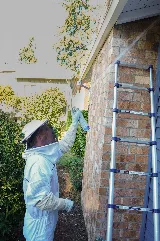 Insight Pest Control - Vancouver photo 9