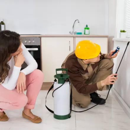 Can Guard Pest Solutions in Penticton