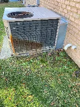 Precision Pest Management photo 8