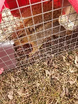 307 Pest, LLC photo 2