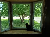 Window World of Madison photo 6