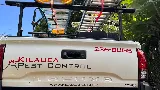 Kilauea Pest Control photo 2