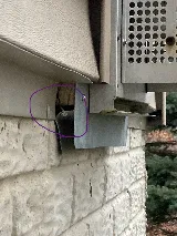 Orkin photo 8