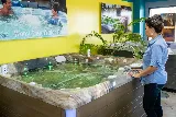 GH Pools photo 3