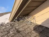 AMW Pest Control photo 3