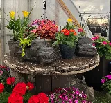S & S Landscaping photo 8