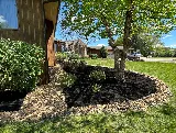All In One Landscaping & Hardscaping photo 4