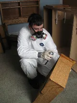 Bed Bug Exterminator San Francisco photo 7