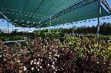 S & S Landscaping photo 2