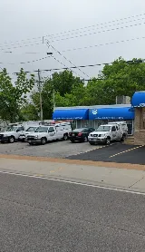 Holper's Pest & Animal Solutions STL photo 6