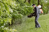 Spidexx Pest Control– Nevada photo 5