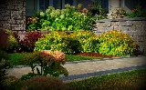 Super Green Lawn Care photo 4