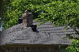 Oliver's Custom Roofing