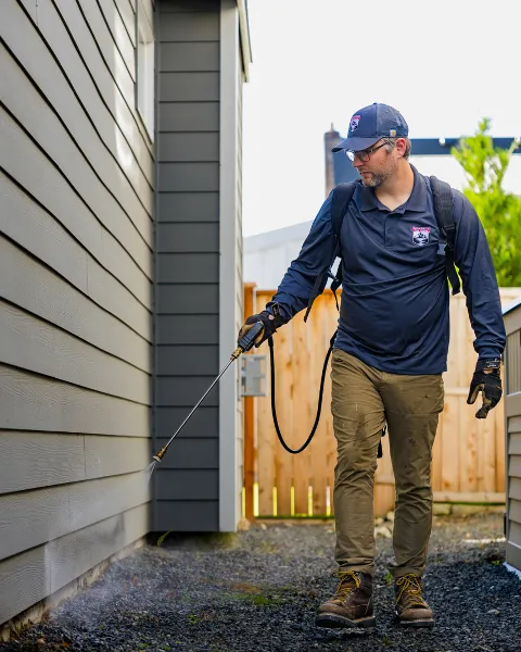 Snohomish Pest Control in Shoreline