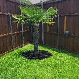 Bradford's Landscaping LLC photo 3