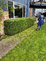 Santos Landscaping photo 2