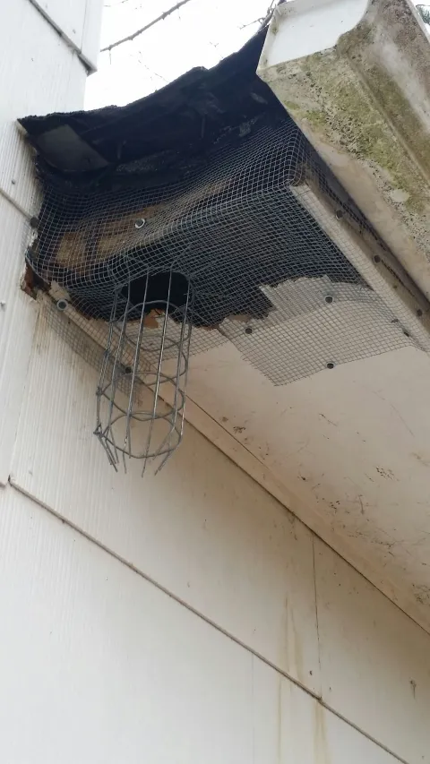 LaHara Pest Termite and Wildlife services,LLC. photo 1