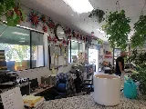 Green Landscape Nursery photo 4