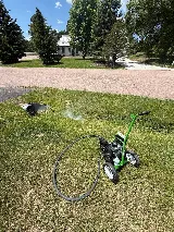 King Pest Solutions photo 2