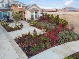 Lesaca Landscape Company, Inc. photo 3