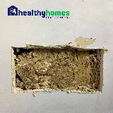 Healthy Homes Pest Control photo 6