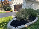 Landscaping 365 photo 4