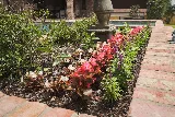 Lawn Care Solutions photo 7