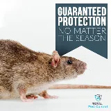 Total Pest Control Fresno photo 2