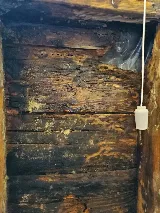 Strategic Pest Solutions Inc. photo 7