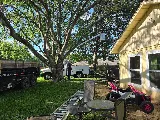 GMaya Tree Service & Landscaping LLC photo 2