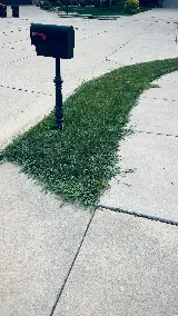 Barr Landscaping & Lawn Service, Inc. photo 4