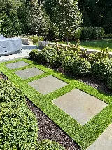 RiverCity Lawn & Landscape photo 6
