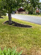 Clay-Nor Lawn & Garden Inc. photo 3