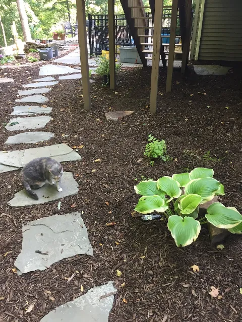Kull Scape Landscaping Inc. photo 1