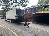 Magic Moving photo 6