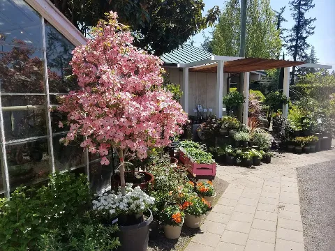 Drake's 7 Dees Landscaping and Garden Center photo 1
