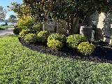 Wolf Pack Hardscaping and Landscaping LLC photo 6