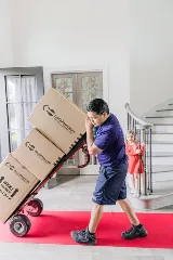 Neutz Sons & Daughters Moving photo 5
