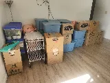 All Mighty Moving photo 6