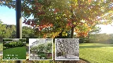 Green Ventures Landscape Care Limited